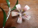 Vintage metalen wandlampje met bloemen, Ophalen of Verzenden