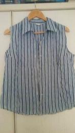 Blouse maat M blauw/zwart/wit/grijs gestreept, Kleding | Dames, Blouses en Tunieken, Ophalen of Verzenden, Zo goed als nieuw, Maat 38/40 (M)