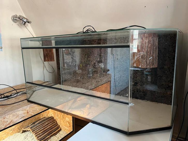 Terrarium, Dieren en Toebehoren, Reptielen en Amfibieën | Toebehoren, Gebruikt, Terrarium of Paludarium, Ophalen