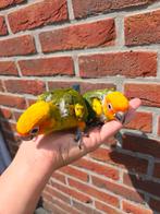 Super tamme baby Zonparkieten, Dieren en Toebehoren, Vogels | Parkieten en Papegaaien, Geringd
