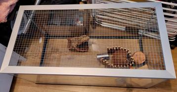 Terrarium Knaagdier Knaagdieren (dwerg) Hamster kooi beschikbaar voor biedingen
