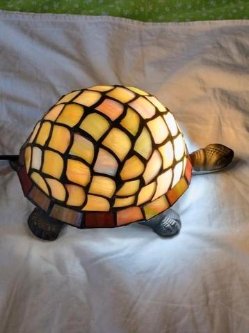Tiffany schildpad  beschikbaar voor biedingen