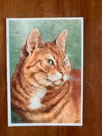 Rode Kater. Cyperse kat., Ophalen of Verzenden, 1960 tot 1980, Gelopen, Hond of Kat