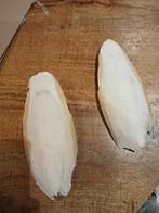 Sepia, Ophalen of Verzenden