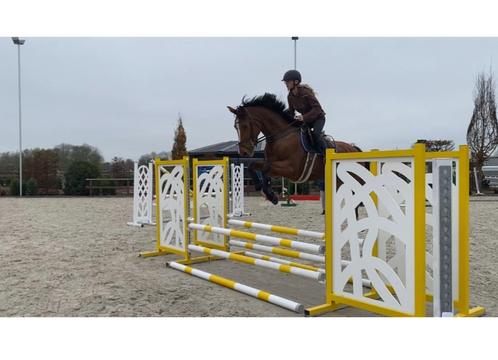 Springruiter/ zadelmak maker AANGEBODEN!, Dieren en Toebehoren, Paarden en Pony's | Verzorgingsproducten, Nieuw, Ophalen