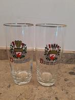 2 Verschillende Dommelsch Bierglazen, Verzamelen, Biermerken, Ophalen of Verzenden, Zo goed als nieuw, Glas of Glazen, Overige merken
