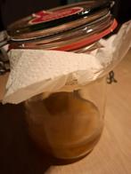 Gratis Kombucha starter en scoby, Ophalen