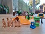 Playmobil Stokstaartjes Set 4853, Ophalen of Verzenden, Zo goed als nieuw, Complete set