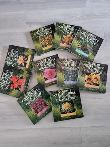 De grote geïllustreerde planten encyclopedie beschikbaar voor biedingen