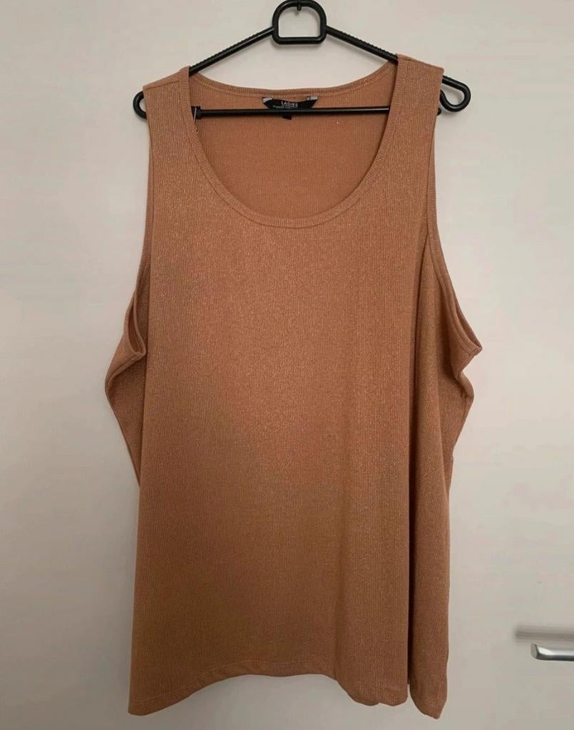 Ladies glitter top bruin/goud maat 7XL 54/56 NIEUW, Kleding | Dames, Grote Maten, Ophalen of Verzenden, Nieuw, Bruin