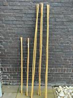 Bamboestokken (180cm 15 stuks en 120cm 10 stuks), Tuin en Terras, Planten | Struiken en Hagen, Overige soorten, Ophalen, 100 tot 250 cm
