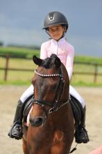 Mega lieve en knappe kinderpony, Dieren en Toebehoren, Pony's, B, Gechipt, Ruin, Dressuurpony