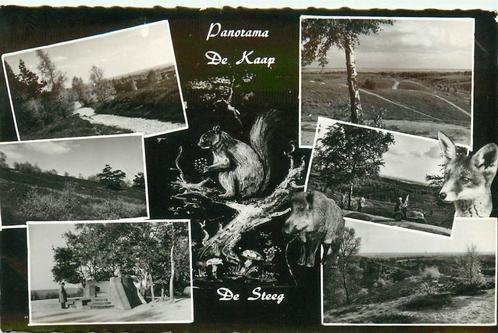 (387-227-005) De Steeg Panorama de Kaap, Verzamelen, Ansichtkaarten | Nederland, Gelderland, Verzenden
