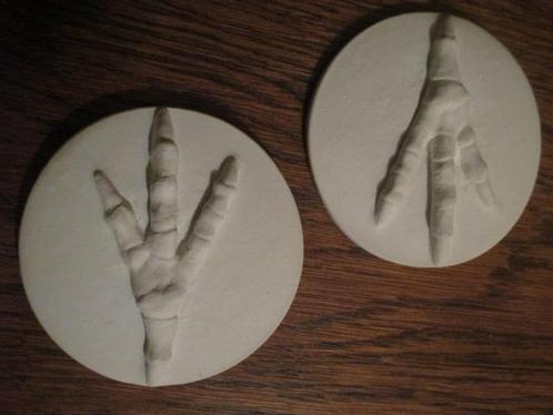 gipsen Vogelpoot Deco, beschilderbaar Reliëf van blanco gips, Verzamelen, Dierenverzamelingen, Nieuw, Beeldje of Figuurtje, Vogel