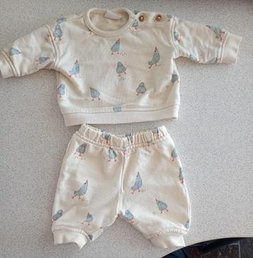 Hema Newborn trui broek setje sweat crème met vogeltjes 50 beschikbaar voor biedingen