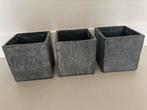 Kubus planten pot bloempot 3x 12x12, Ophalen of Verzenden, Overige soorten, Minder dan 100 cm