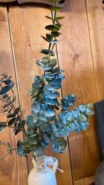 Eucalyptus kunst takken, Nieuw, Ophalen of Verzenden