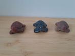 3 verschillende soorten schildpadjes, Verzamelen, Mineralen en Fossielen, Ophalen of Verzenden, Mineraal
