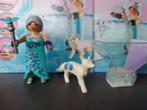 Playmobil Prinses winterbloesem 9353, Ophalen of Verzenden, Zo goed als nieuw, Complete set