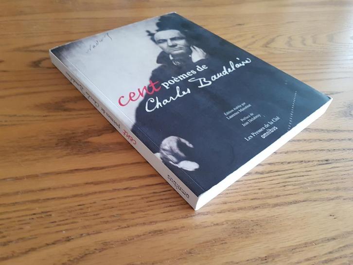 Cent Poèmes de CHARLES BAUDELAIRE, Boeken, Taal | Frans, Gelezen, Fictie, Ophalen of Verzenden