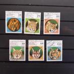 vd1248     Sahara  RASD  Roofdieren / Katjes, Postzegels en Munten, Postzegels | Thematische zegels, Dier of Natuur, Verzenden