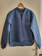 NIEUWE gewatteerde jas met rits maat M merk M-WEAR, Kleding | Heren, Jassen | Winter, Verzenden, Nieuw