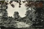 (387-232-015) De Steeg Bos Nabij de Posbank, Verzenden, Gelderland