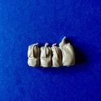 Resin US Army Canvas Bags 4x	1/35	*35, Ophalen of Verzenden, Nieuw, 1:35 tot 1:50
