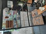 pracht kooi voor vogels, Dieren en Toebehoren, Ophalen, Zo goed als nieuw, Metaal, Vogelkooi