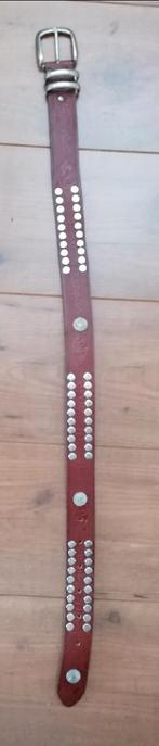 TRENDY cognackleur leren riem met studs 80cm, Kleding | Dames, Riemen en Ceinturen, 3 tot 5 cm, Tailleriem, Ophalen of Verzenden