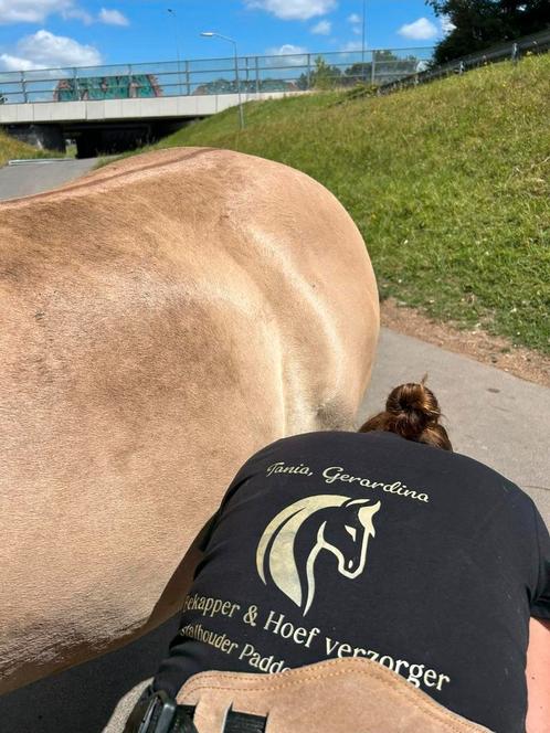 Bekappen/ Hoefverzorger paarden, Diensten en Vakmensen, Dieren | Paarden | Verzorging, Oppas en Les