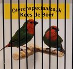 Roodkop papegaaiamadines, Meerdere dieren, Tropenvogel