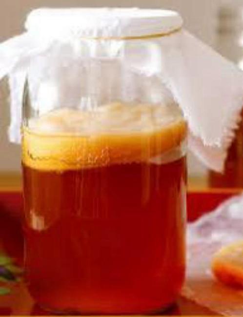 Kombucha Scoby Starter, Diversen, Levensmiddelen, Ophalen of Verzenden