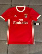 Origineel Adidas Benfica Shirt 2019/2020 Maat S, Maat S, Ophalen of Verzenden, Zo goed als nieuw, Shirt