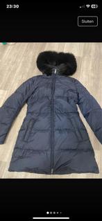 Prada dames winterjas, Kleding | Dames, Prada, Blauw, Ophalen of Verzenden, Zo goed als nieuw