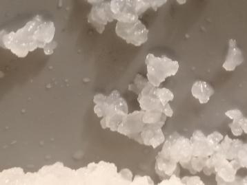 Te koop Water Kefir / Waterkefir nieuw beschikbaar voor biedingen