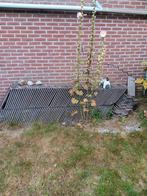 175 oude dakpannen GRATIS, Doe-het-zelf en Verbouw, Ophalen, Gebruikt, Steen of Klei, Dakpannen