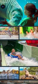 2 tickets dolfinarium aangeboden!!, Tickets en Kaartjes, Twee personen