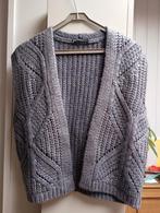 nieuw mouwloos vest expresso maat L grijs met zilver, Maat 38/40 (M), Expresso, Nieuw, Ophalen of Verzenden