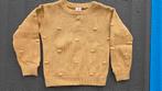 Leuke gebreide trui Hema maat 98/104, Ophalen of Verzenden, Zo goed als nieuw, Hema, Jongen of Meisje