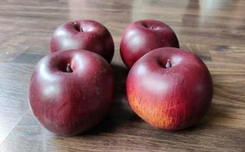 Decoratie sierappels rood 4 stuks beschikbaar voor biedingen