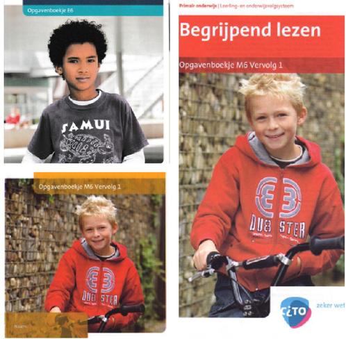 Cito toetsen groep 6 versie 3.0 plus gratis versie 2.0, Boeken, Schoolboeken, Nieuw, Nederlands, Overige niveaus, Ophalen of Verzenden