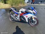 TRMOTOR GP one, Bedrijf, Sport, TRMOTOR