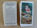 Birds & Their Young complete set 50 cigarette cards 1937, Ophalen, Gebruikt