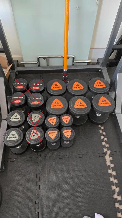 Ziva Dumbells 20/18/16/10/6/4, Sport en Fitness, Fitnessmaterialen, Zo goed als nieuw, Dumbbell, Armen, Benen, Borst, Buik, Rug