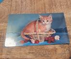 Rode kitten in een mandje, Verzamelen, Ansichtkaarten | Dieren, Verzenden, Ongelopen, Hond of Kat
