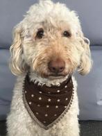 Honden bandana - halsdoek, Ophalen of Verzenden, Zo goed als nieuw