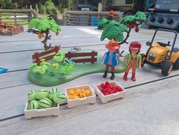 Playmobil boomgaard beschikbaar voor biedingen
