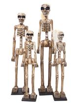 verschillende skeletten, Diversen, Nieuw, Ophalen