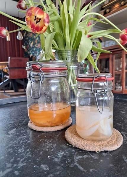 Kombucha Scoby (zwam) + starter van zwarte en groene thee, Diversen, Levensmiddelen, Ophalen of Verzenden